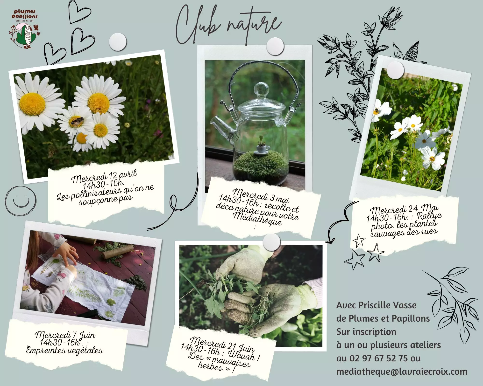 Mercredi 12 avril 14h30 16h Les pollinisateurs quon ne souponne pas